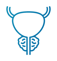 Ícone Hiperplasia prostática benigna 